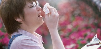 봄철 알레르기 주의보