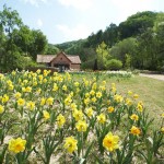 봄이 흐르는 고장 춘천(春川)