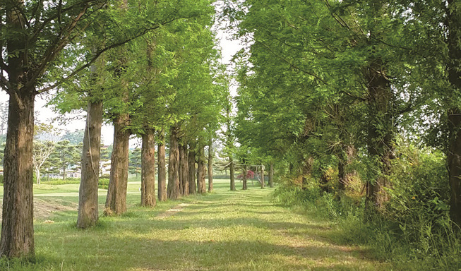 삼원레저타운 삼원레저타운