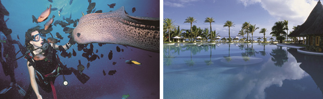 천국의 섬, 모리셔스