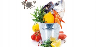 식중독에 대한 모든 것