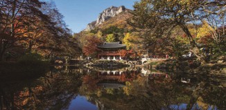 백양사 가인 자동차 야영장