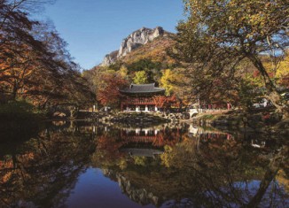 백양사 가인 자동차 야영장