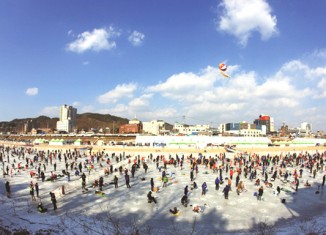 2015년 1월 전국축제